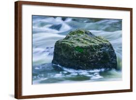 Giant Moss Covered Boulder Swirling Water-Anthony Paladino-Framed Giclee Print