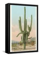 Giant Multi-Armed Saguaro Cactus-null-Framed Stretched Canvas