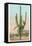 Giant Multi-Armed Saguaro Cactus-null-Framed Stretched Canvas
