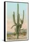 Giant Multi-Armed Saguaro Cactus-null-Framed Stretched Canvas