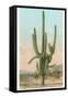 Giant Multi-Armed Saguaro Cactus-null-Framed Stretched Canvas