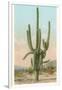 Giant Multi-Armed Saguaro Cactus-null-Framed Art Print