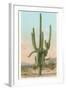 Giant Multi-Armed Saguaro Cactus-null-Framed Art Print