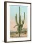 Giant Multi-Armed Saguaro Cactus-null-Framed Art Print