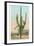 Giant Multi-Armed Saguaro Cactus-null-Framed Art Print