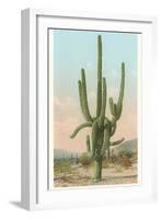 Giant Multi-Armed Saguaro Cactus-null-Framed Art Print