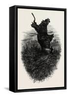 Giant Oak Near Cranbourne Tower, the Forest Scenery Of19th Century-null-Framed Stretched Canvas