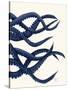 Giant Octopus Blue Triptych c-Fab Funky-Stretched Canvas