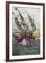 Giant Octopus, Illustration from 'L'Histoire Naturelle Generale Et Particuliere Des Mollusques'-French-Framed Giclee Print