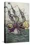 Giant Octopus, Illustration from 'L'Histoire Naturelle Generale Et Particuliere Des Mollusques'-French-Stretched Canvas
