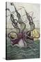 Giant Octopus, Illustration from 'L'Histoire Naturelle Generale Et Particuliere Des Mollusques'-French-Stretched Canvas