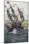 Giant Octopus (Kraken) Attacking a Ship - from Denys-Montfort in “Histoire Naturelle Des Mollusques-Unknown Artist-Mounted Giclee Print