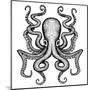 Giant Octopus - Sea Monster-IADA-Mounted Art Print