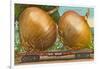 Giant Onions on Flatbed-null-Framed Art Print