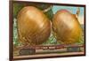 Giant Onions on Flatbed-null-Framed Art Print