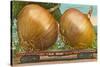 Giant Onions on Flatbed-null-Stretched Canvas