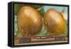 Giant Onions on Flatbed-null-Framed Stretched Canvas