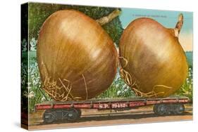 Giant Onions on Flatbed-null-Stretched Canvas