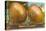 Giant Onions on Flatbed-null-Stretched Canvas