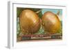 Giant Onions on Flatbed-null-Framed Art Print