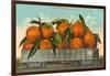 Giant Oranges in Rail Car-null-Framed Art Print