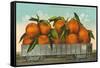 Giant Oranges in Rail Car-null-Framed Stretched Canvas