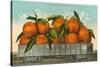 Giant Oranges in Rail Car-null-Stretched Canvas