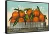 Giant Oranges in Rail Car-null-Framed Stretched Canvas