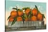 Giant Oranges in Rail Car-null-Stretched Canvas