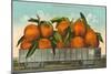 Giant Oranges in Rail Car-null-Mounted Art Print