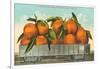 Giant Oranges on Flatbed, Florida-null-Framed Art Print