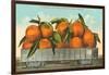 Giant Oranges on Flatbed, Florida-null-Framed Art Print