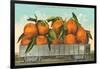 Giant Oranges on Flatbed, Florida-null-Framed Art Print