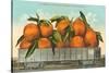 Giant Oranges on Flatbed, Florida-null-Stretched Canvas