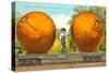 Giant Oranges on Flatbed-null-Stretched Canvas