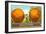 Giant Oranges on Flatbed-null-Framed Art Print