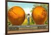 Giant Oranges on Flatbed-null-Framed Art Print