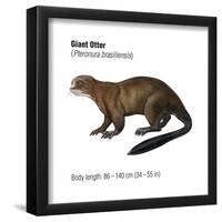 Giant Otter (Pteronura Brasiliensis), Mammals-Encyclopaedia Britannica-Framed Poster