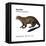 Giant Otter (Pteronura Brasiliensis), Mammals-Encyclopaedia Britannica-Framed Stretched Canvas