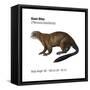 Giant Otter (Pteronura Brasiliensis), Mammals-Encyclopaedia Britannica-Framed Stretched Canvas