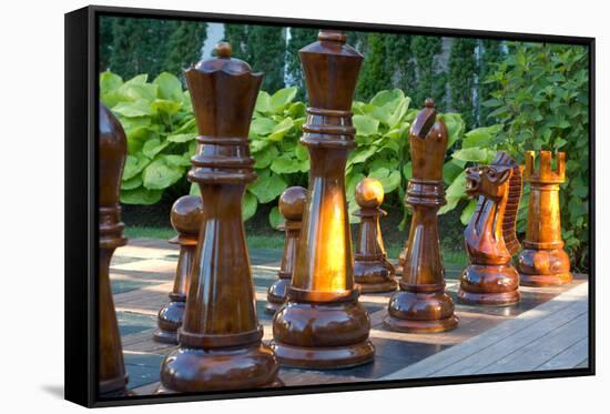 Giant Outdoors Chess Set Photo Poster-null-Framed Stretched Canvas