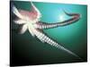 Giant Pacific Octopus, Pacific Northwest, USA-Stuart Westmoreland-Stretched Canvas