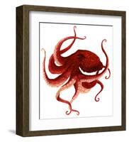Giant Pacific Octopus - Red-Jeannine Saylor-Framed Art Print