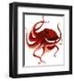 Giant Pacific Octopus - Red-Jeannine Saylor-Framed Art Print