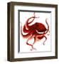 Giant Pacific Octopus - Red-Jeannine Saylor-Framed Art Print