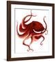 Giant Pacific Octopus - Red-Jeannine Saylor-Framed Art Print