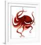 Giant Pacific Octopus - Red-Jeannine Saylor-Framed Art Print