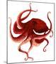 Giant Pacific Octopus - Red-Jeannine Saylor-Mounted Art Print