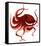 Giant Pacific Octopus - Red-Jeannine Saylor-Framed Stretched Canvas