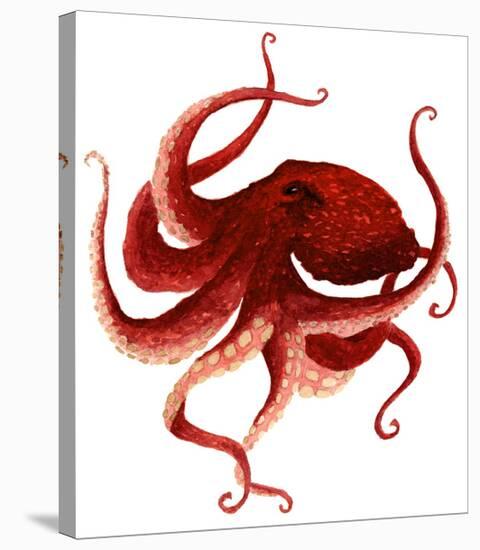 Giant Pacific Octopus - Red-Jeannine Saylor-Stretched Canvas